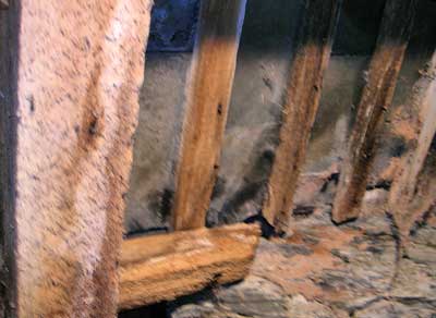 Woodworm in a roof, showing bore dust in cobwebs